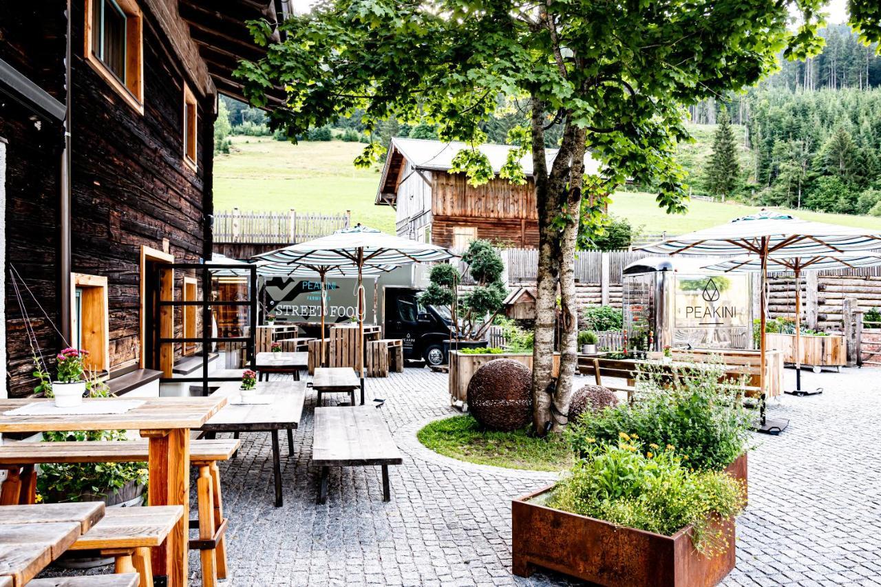 Willa Peakini Farmhaus Untertauern Zewnętrze zdjęcie