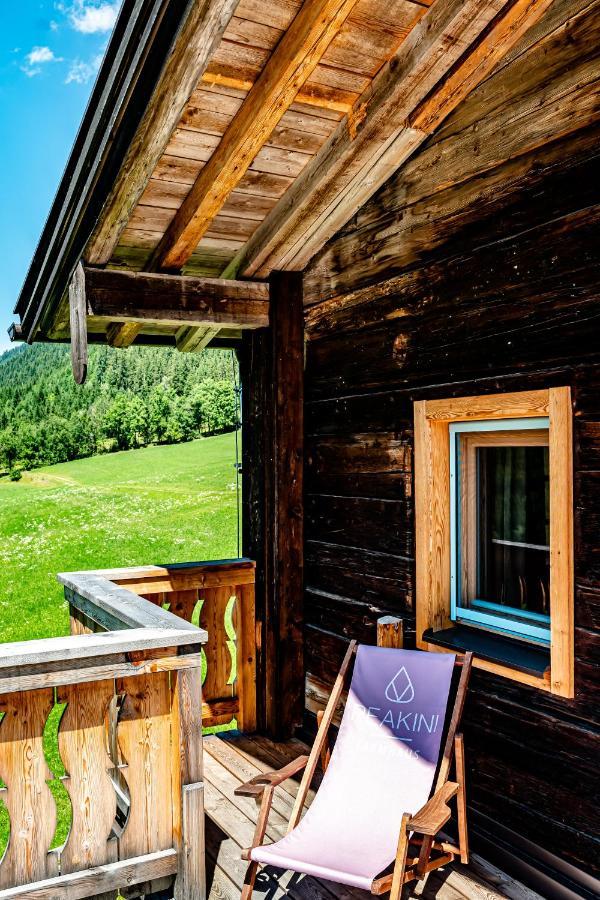 Willa Peakini Farmhaus Untertauern Zewnętrze zdjęcie