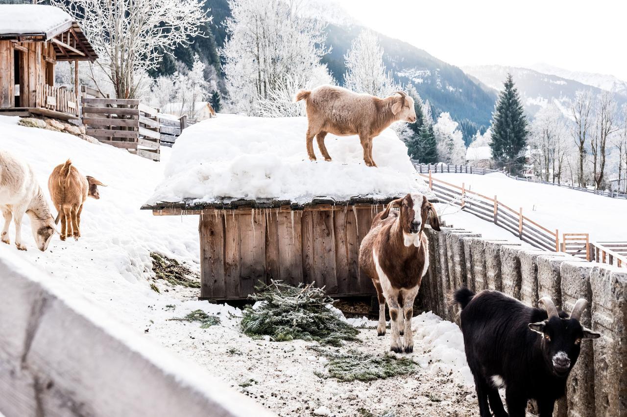 Willa Peakini Farmhaus Untertauern Zewnętrze zdjęcie
