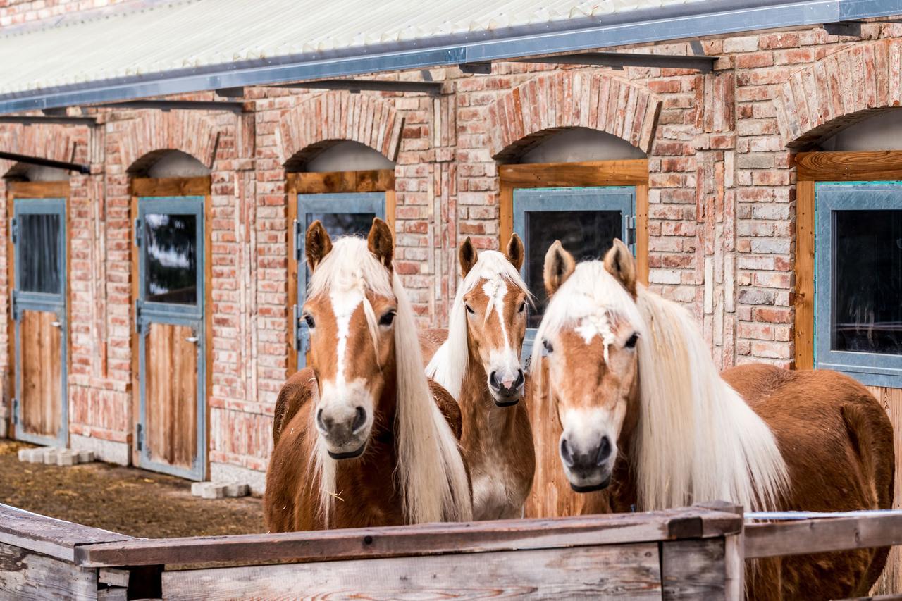 Willa Peakini Farmhaus Untertauern Zewnętrze zdjęcie